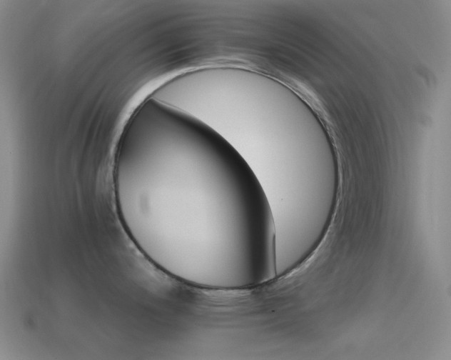 X0000114401200200910161308