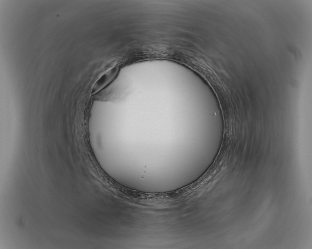 X0000114401201200910161308