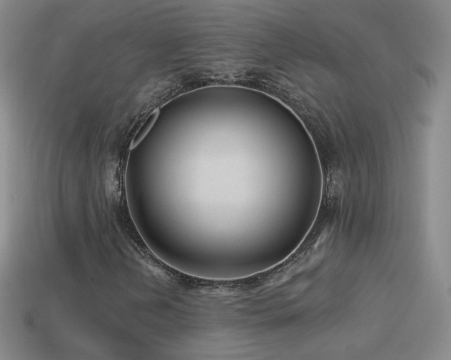 X0000114401202200910161308