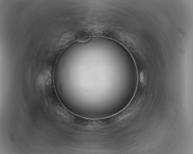 X0000114401203200910161308