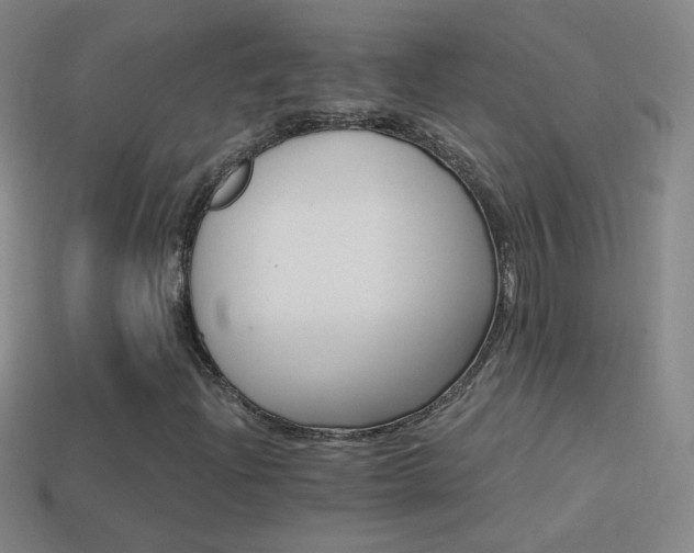 X0000114401204200910161308