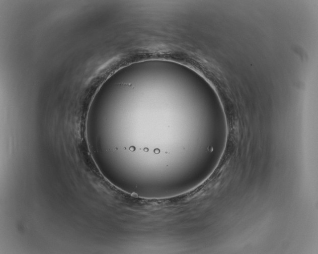 X0000114401205200910161308