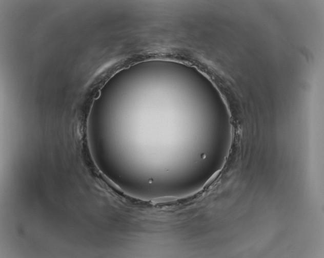 X0000114401206200910161308