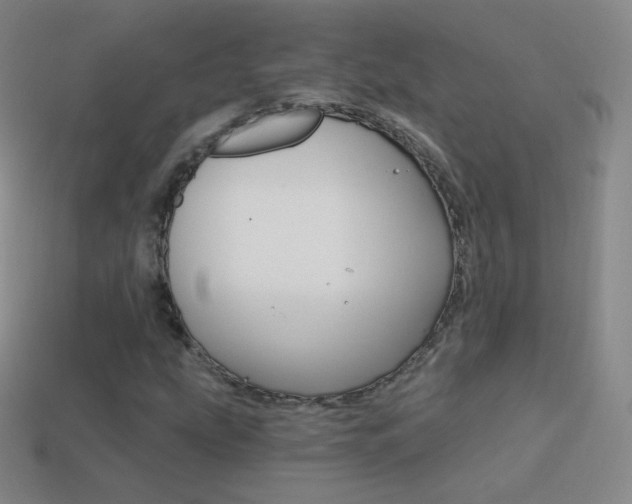 X0000114401207200910161308