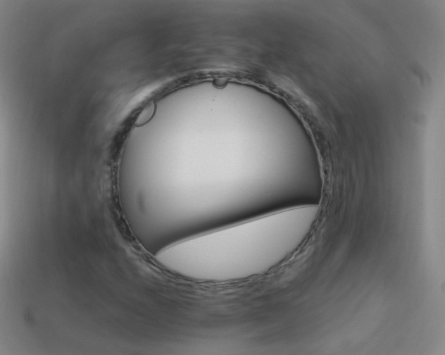 X0000114401208200910161308