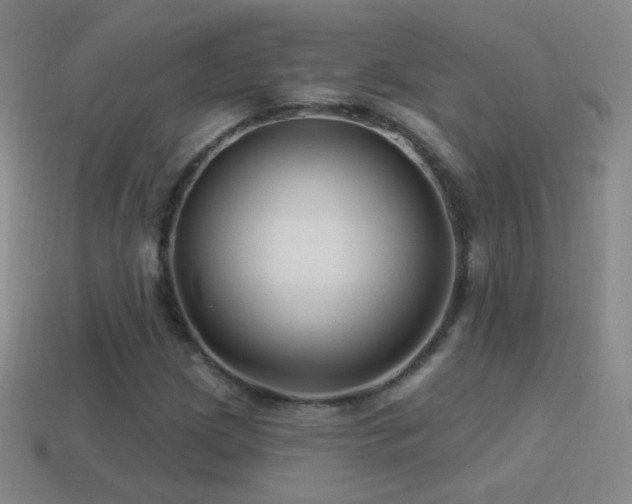 X0000114401209200910161308