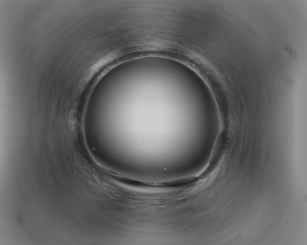 X0000114401210200910161308