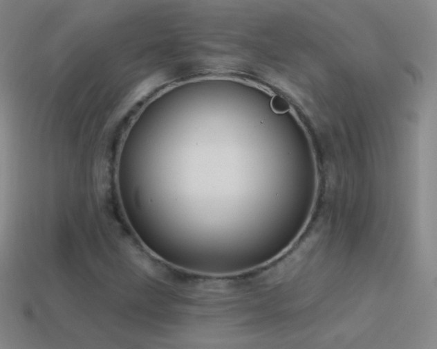 X0000114401211200910161308