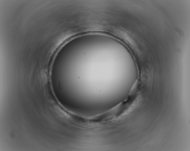 X0000114401212200910161308