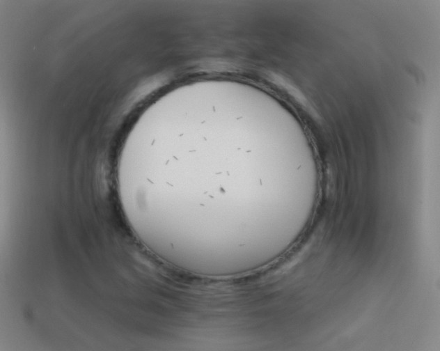 X0000114401213200910161308