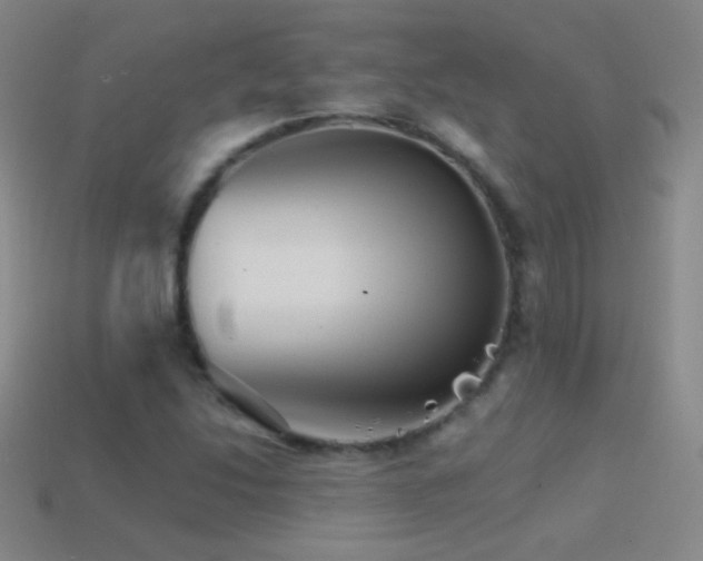 X0000114401214200910161308