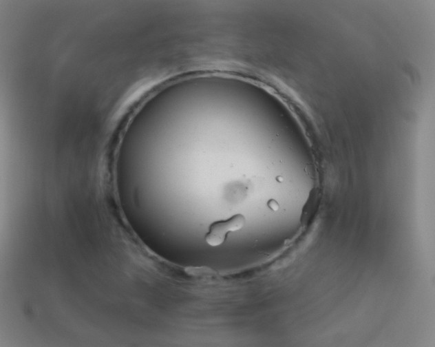 X0000114401215200910161308