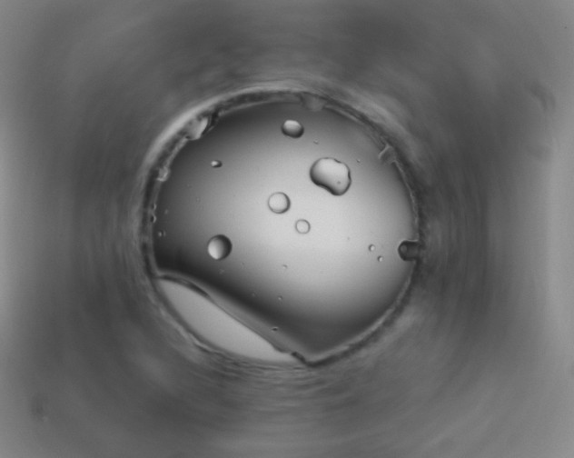 X0000114401216200910161308