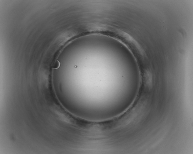 X0000114401217200910161308