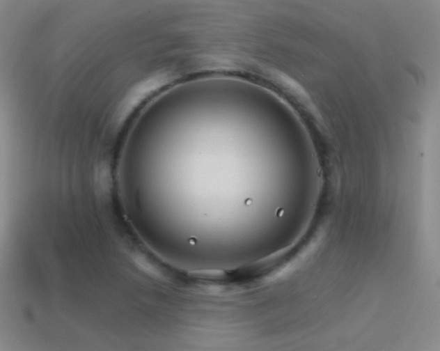 X0000114401218200910161308