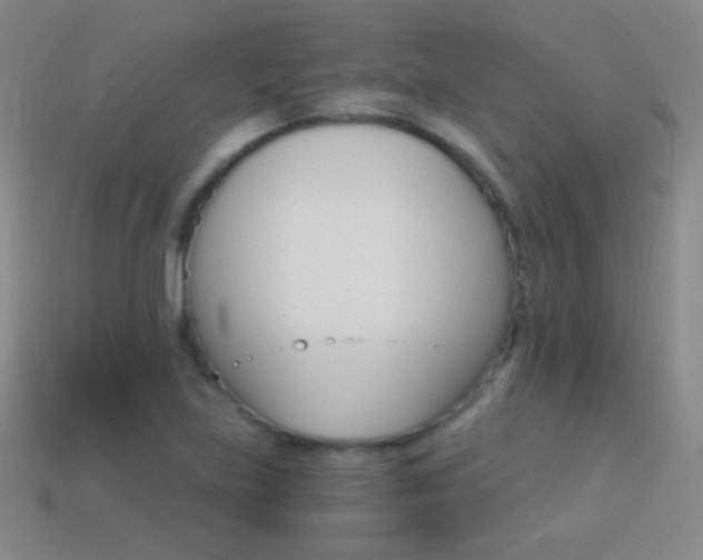 X0000114401219200910161308