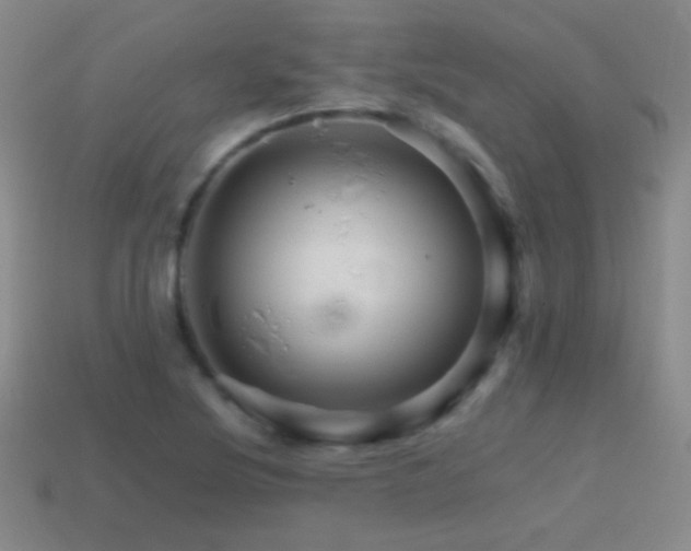 X0000114401220200910161308