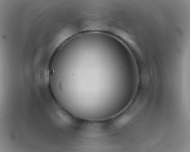 X0000114401221200910161308