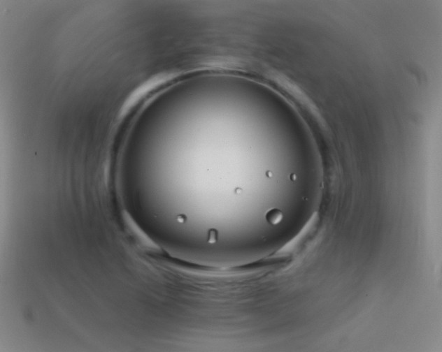 X0000114401222200910161308