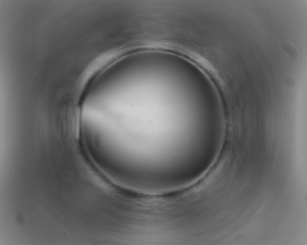 X0000114401223200910161308