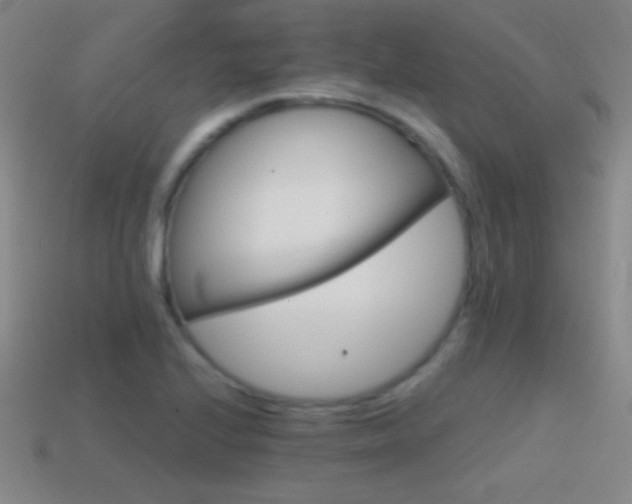 X0000114401224200910161308