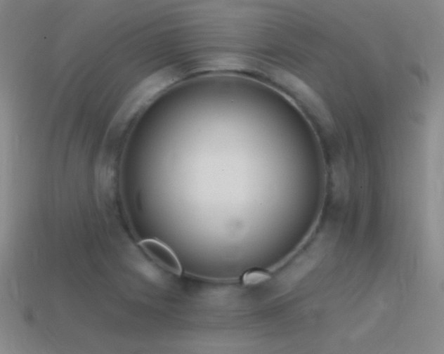 X0000114401225200910161308