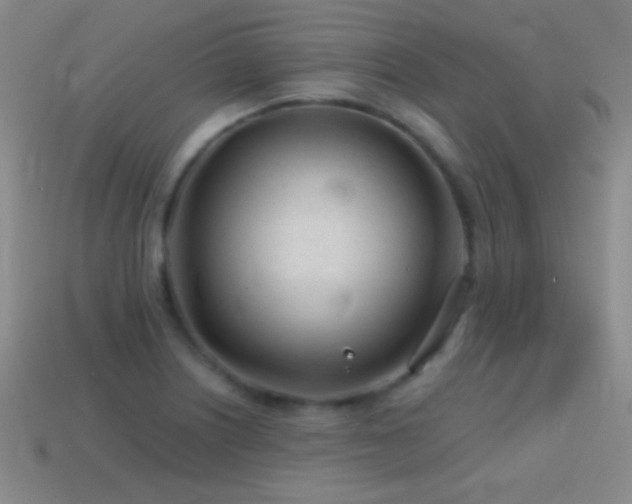 X0000114401226200910161308