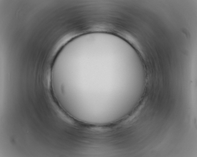 X0000114401227200910161308