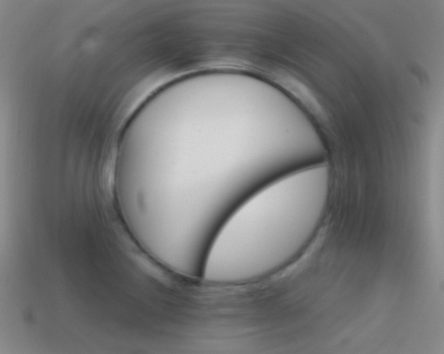 X0000114401228200910161308