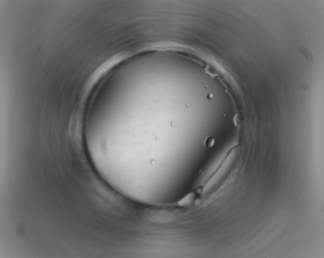 X0000114401229200910161308