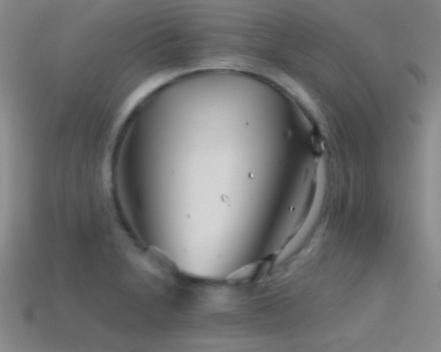 X0000114401230200910161308