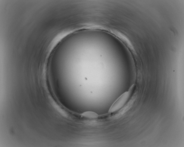 X0000114401231200910161308