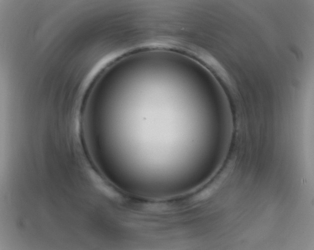 X0000114401232200910161308