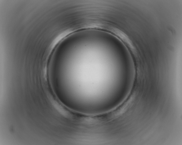 X0000114401234200910161308