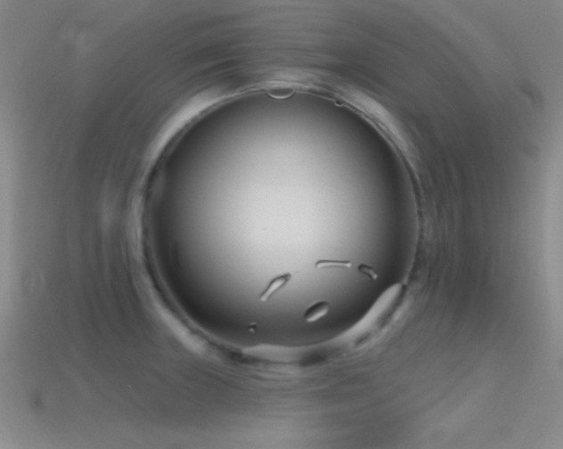 X0000114401235200910161308