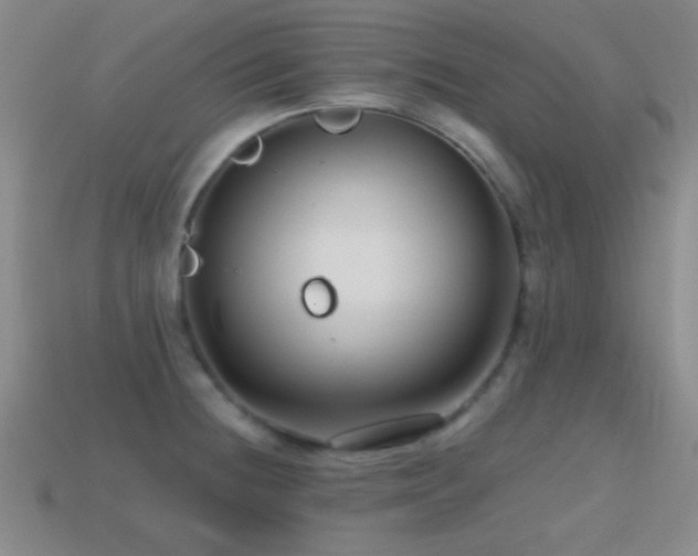 X0000114401236200910161308