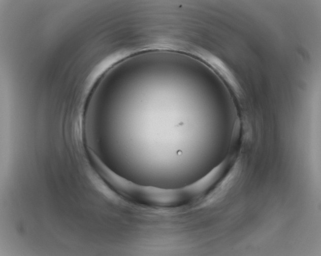 X0000114401238200910161308