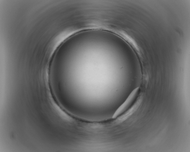 X0000114401239200910161308