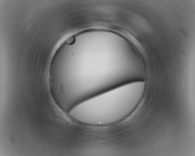 X0000114401240200910161308