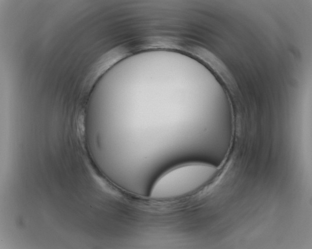 X0000114401241200910161308