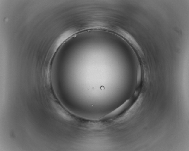 X0000114401242200910161308