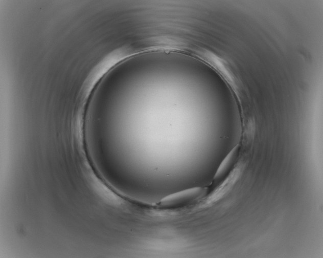 X0000114401243200910161308