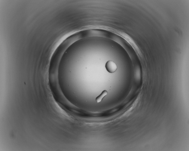 X0000114401244200910161308