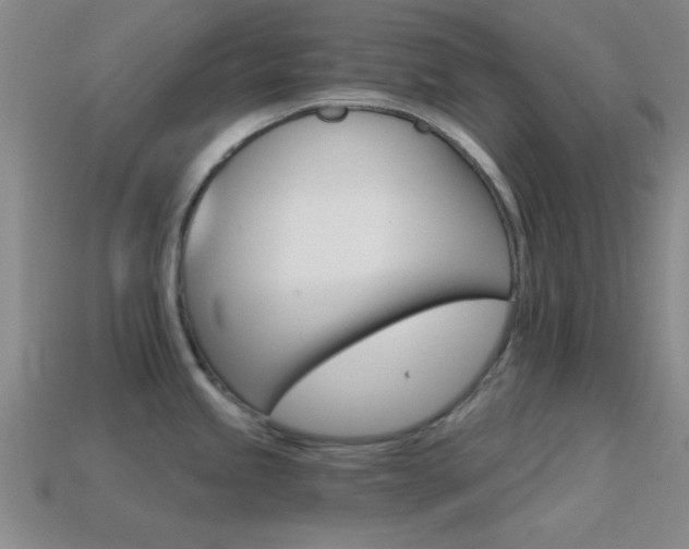 X0000114401245200910161308