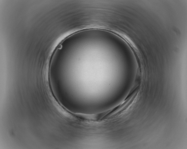 X0000114401246200910161308