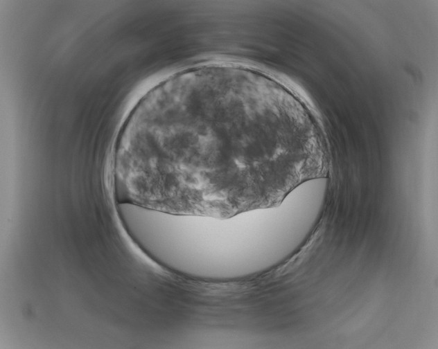 X0000114401247200910161308