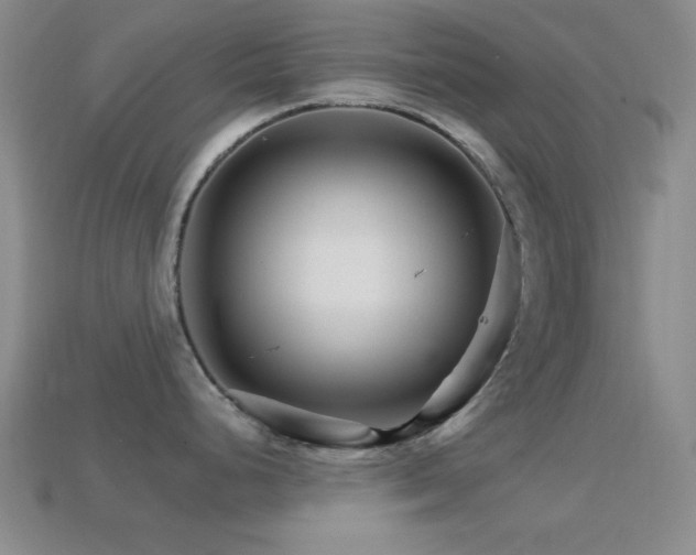 X0000114401248200910161308