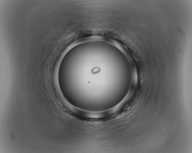 X0000114401249200910161308