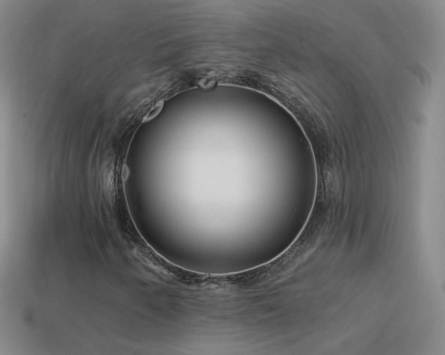 X0000114401250200910161308