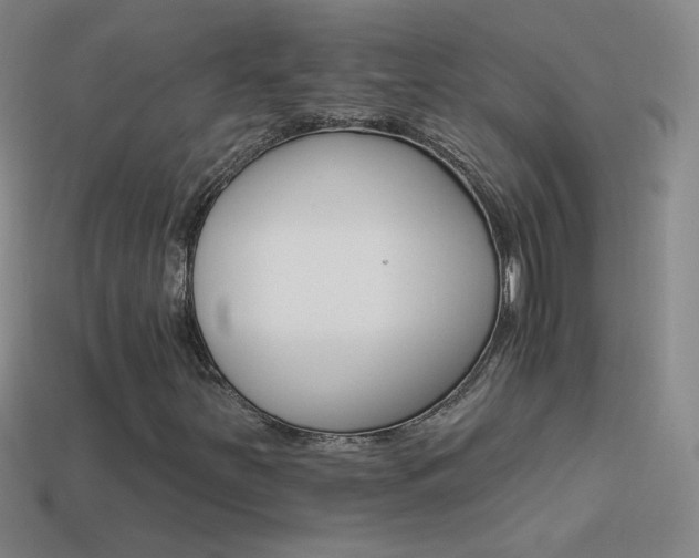 X0000114401251200910161308